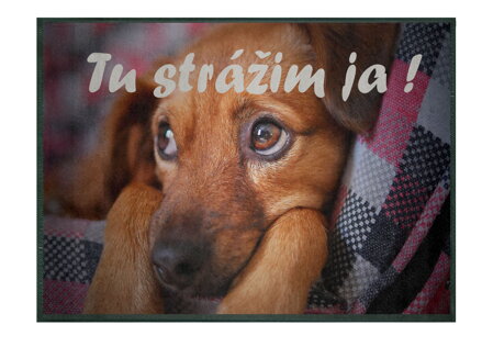 GDmatsEU | Rohožka s fotkou vašeho psa a textem - 70x60 cm